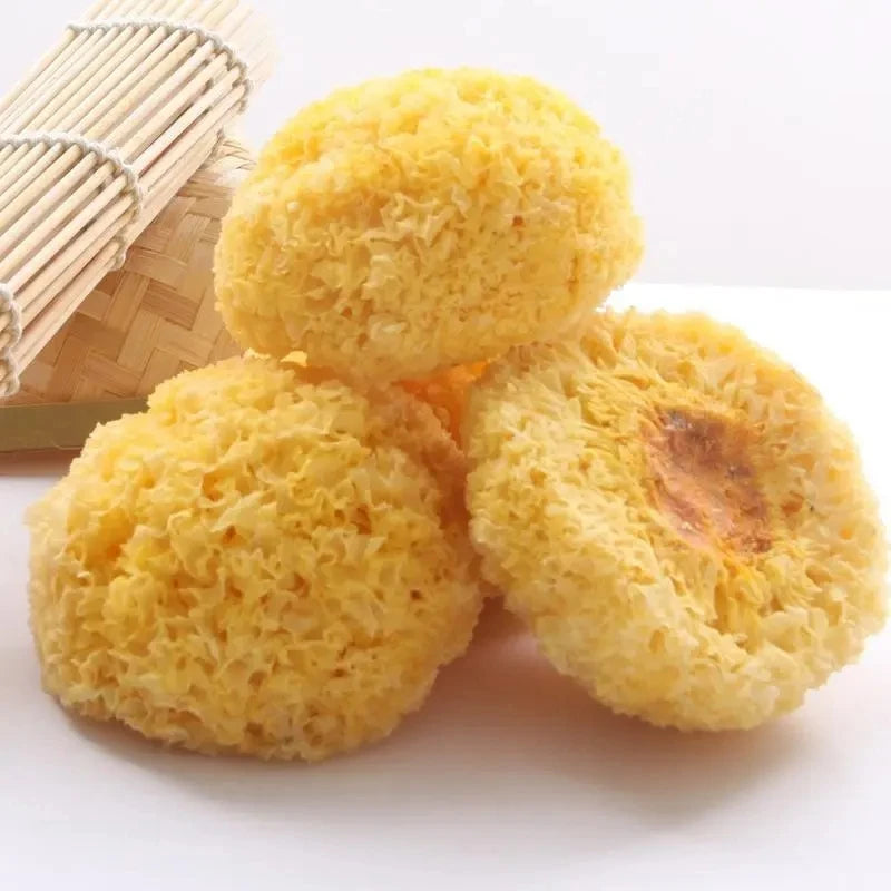 Huaran Yulin Guangxi China Edible Mushrooms Wholesale Tremella Fuciformis Silvery Fungi Dried White Fungus for Food