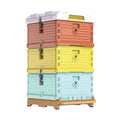Unique 3-Layer Langstroth Beehive PVC Boxes New Condition Beekeeping Hives for Beekeepers