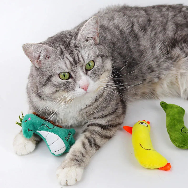 Pet Plush Cat Toy Set Catnip Cat Toys Interactive Cat Chew Toys