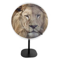 Tables New Trend 3D Hologram Advertising Player Equipment 42cm 3D Led Fan Display Machine Hologram Desktop App Control Led