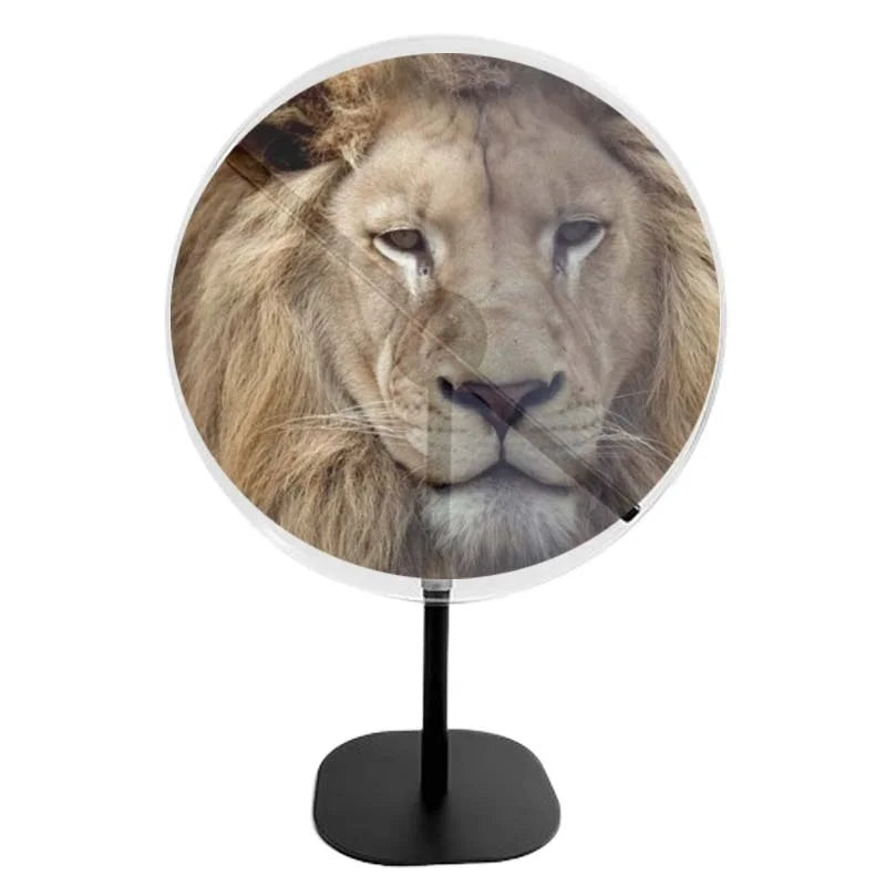 Tables New Trend 3D Hologram Advertising Player Equipment 42cm 3D Led Fan Display Machine Hologram Desktop App Control Led