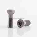SCODAK Ball Head M4 M4X13 T15 Torx Screw for CNC Indexable End Mill