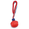 Rugby Ball Shaped TPR Dog Chew Toy with Bone Design and Bungee Rope for Bite and Grinding