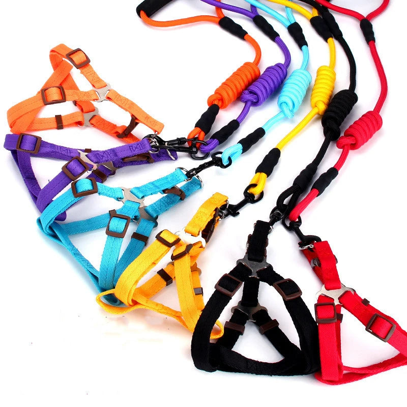 Nylon Dog Collar and Leash Set with Quick Release Foam Handle Pet Buddy Harness and Traction Rope Convenient Pet Leash Belt
