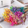 Wholesale Real Natural Preserved Flower Boho Wedding Flower Bouquet Daisy Flower