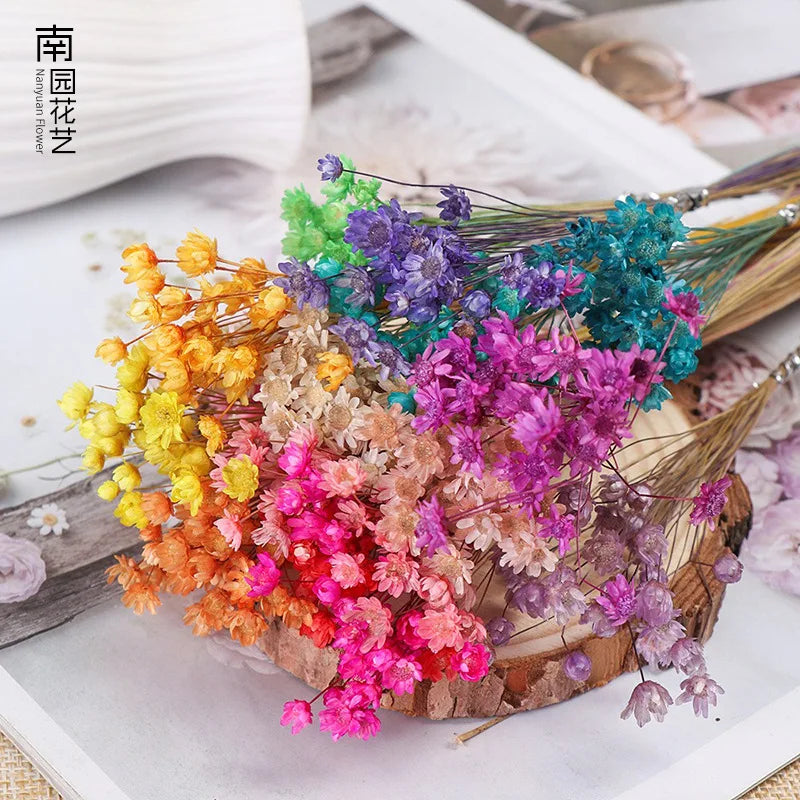 Wholesale Real Natural Preserved Flower Boho Wedding Flower Bouquet Daisy Flower