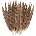 Wholesale Hot Selling High-quality Products Ringneck Pheasant Tail Feathers 45-50cm for Craft Headdress Costume Carnival