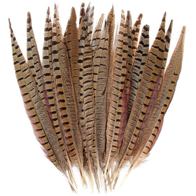 Wholesale Hot Selling High-quality Products Ringneck Pheasant Tail Feathers 45-50cm for Craft Headdress Costume Carnival