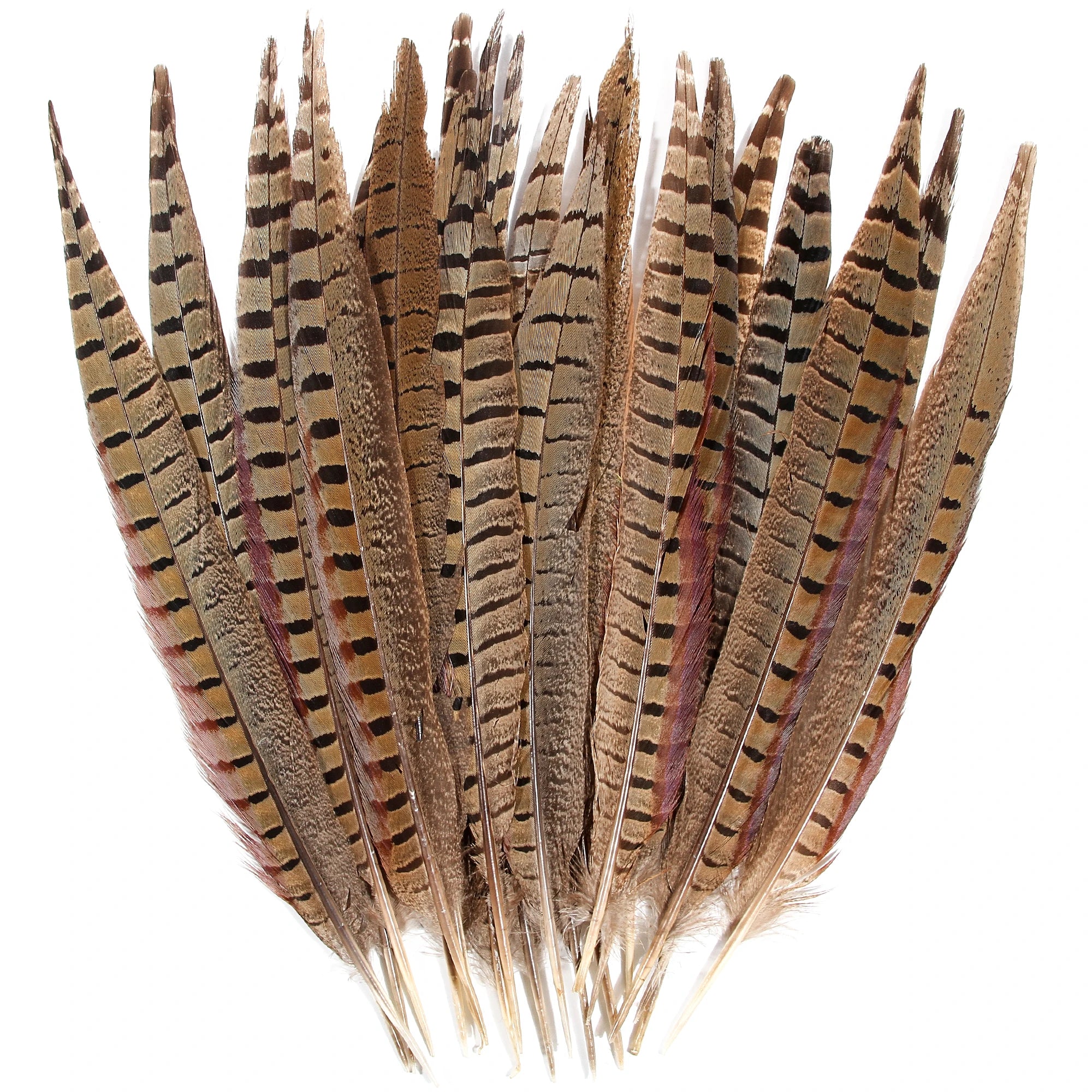 Wholesale Hot Selling High-quality Products Ringneck Pheasant Tail Feathers 45-50cm for Craft Headdress Costume Carnival