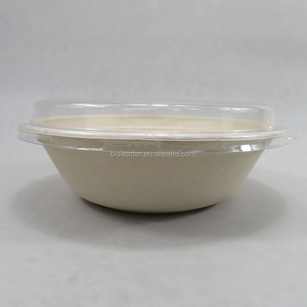 Biodegradable Sugarcane Bagasse Disposable Bowl with PET Lid for Parties