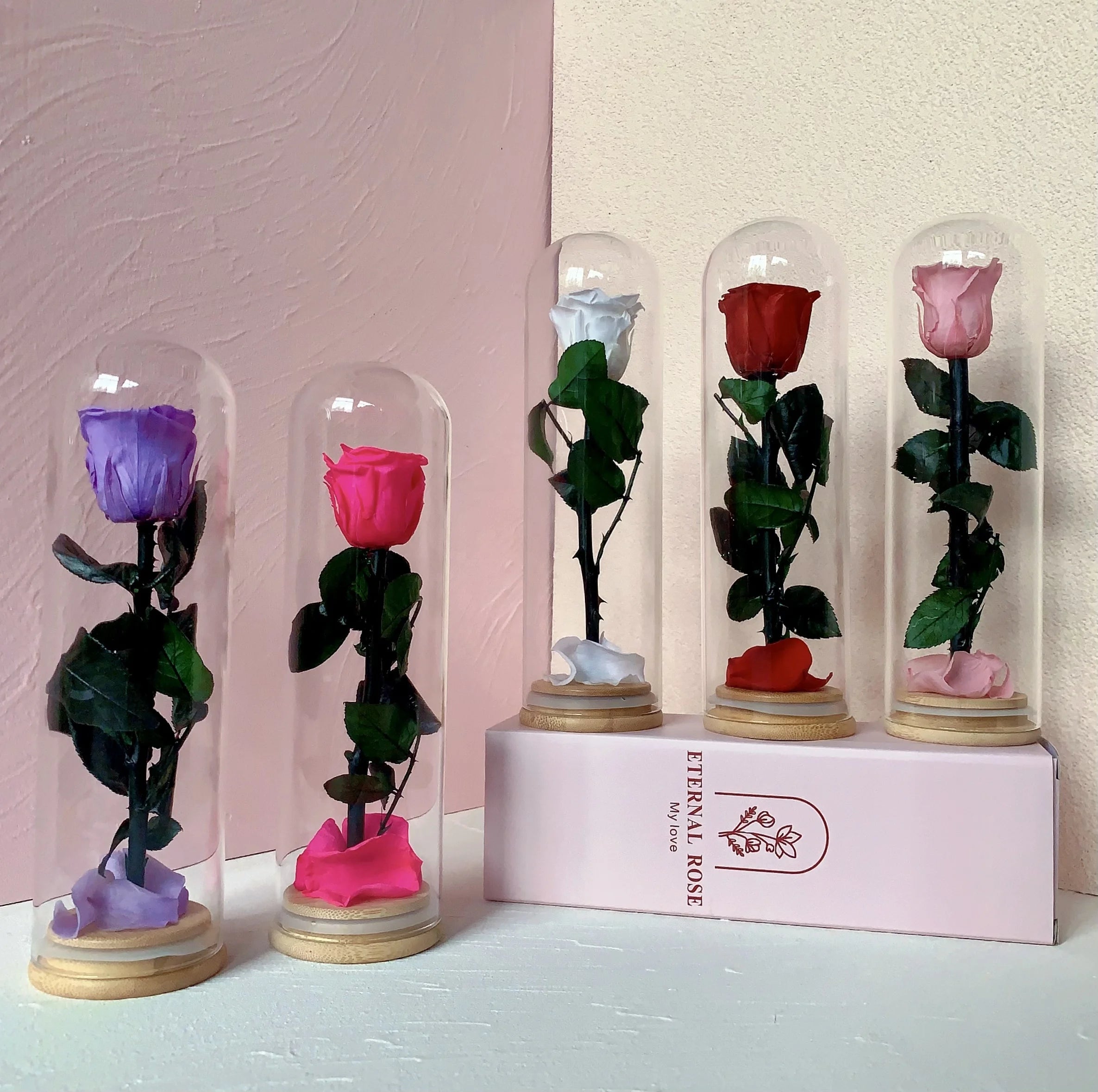 TC Wholesale Single Lasting Preserved  Large Rose in Glass Dome Real Touch Eternal Rose Flowers for Valentine Morthers Day Gift