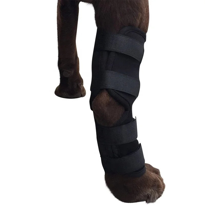 Dog Elbow Protector Canine Paw Compression Wraps Pet Knee Pad Dog Front Leg Braces