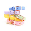 Wholesale Personalized Logo Strong Heavy Duty Adjustable Waterproof Rubber PVC Coated Fashion Dog Collar Tag