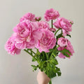Y-H178 Wholesale Real Touch Ranunculus Artificial Flower High Quality Peony Artificial Flowers for Wedding Home Table Decoration
