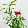 Outdoor Waterproof Metal butterfly Dragonfly Honeybee Solar Pathway Light for Courtyard square Garden square Decoration