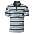 Men's Striped Golf Polo Shirts Quick Dry Short Sleeve Casual Athletic Collared T Shirt Breathable Anit-wrinkle Short Sleeve