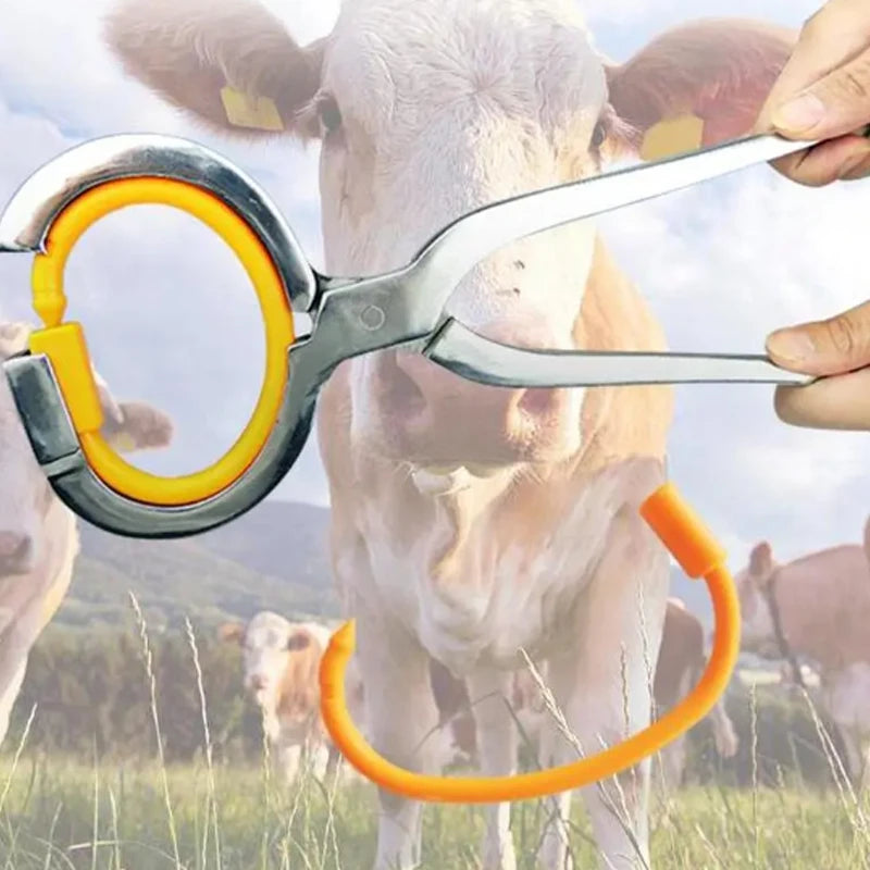 Stainless Steel Bull Cattle Nose Ring Cow Nose Ring Installation Clamp Cattle Nose Rings Plier
