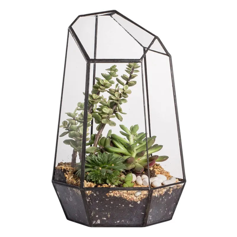 Geometric Glass Terrarium Planter for Air Plants Succulents Indoor Irregular Opened Glass Flower Pot