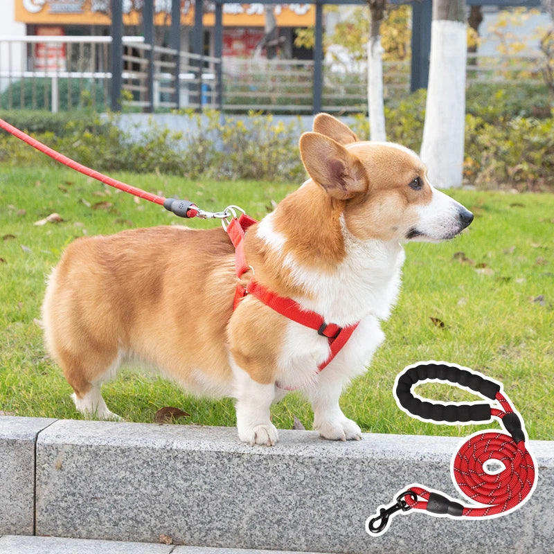 2024 New Single Fashion Custom Printed Logo Hemp Reflective No Pull Black Rope Elastic Thick Dog Training Long Leash