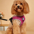 MIDEPET Adjustable Reflective Fashion Nylon Dog Harness Soft Air Mesh Padded Step-in Vest Buckle Closure No Pull Pet Supplies