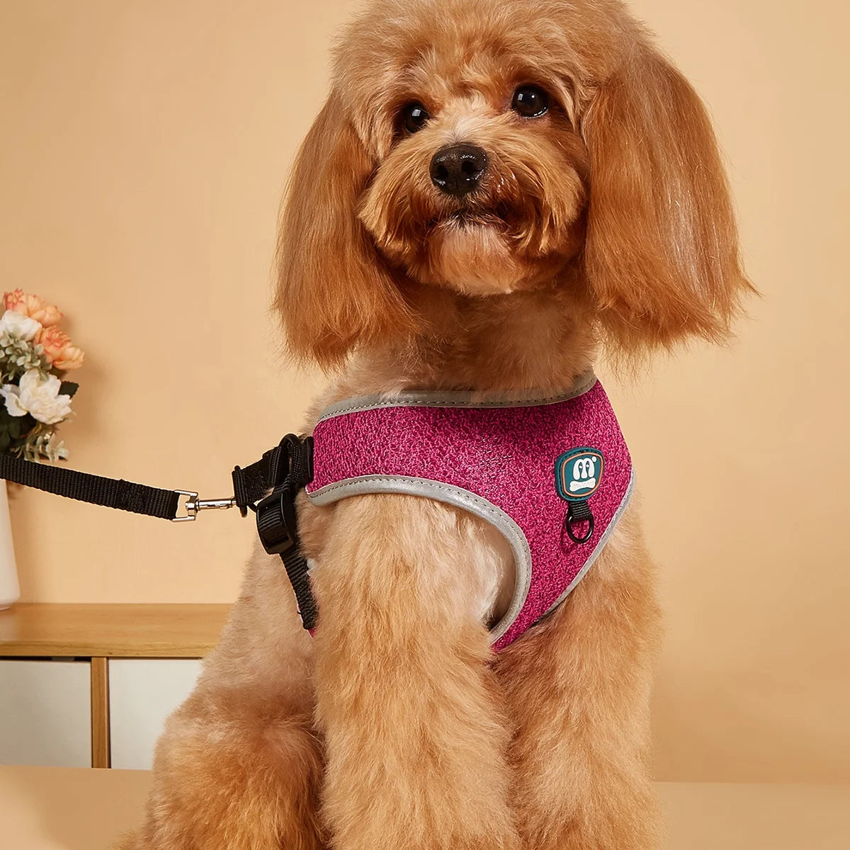 MIDEPET Adjustable Reflective Fashion Nylon Dog Harness Soft Air Mesh Padded Step-in Vest Buckle Closure No Pull Pet Supplies
