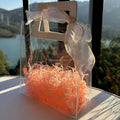 Wedding Transparent Bags Various Romantic Colors Suitable for Outdoor Wedding Bridesmaid Bags