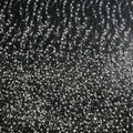 Sequins Tulle Bridal Luxury Beaded Lace Fabric Dress Embroidery Fabric French White Sequins Lace
