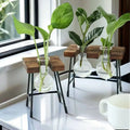 European Modern Transparent Glass Vase Pothos Water Plants Hydroponic Planter for Home/Office Decor Tabletop Centerpiece