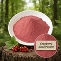 Instant Spray Dried Organic Cranberry Juice Powder with High Water Solubility for Functional Beverage Manufacturing