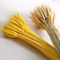 2026 Hot Selling Dried Flowers Dried Wheat Bouquet for Decorative Flowers