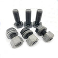 Galvanized/ Dacromet/Black DIN933 DIN558 DIN6914 ISO4014 ISO4017 JISB 1189 Hex Screw Hex Head Bolts Stud Bolt Heavy Hex Nut