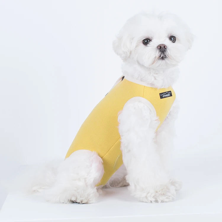 Dog Anxiety Vest Breathable Polyester Classic Print Eco-Friendly Funny Dog Clothes for Small Animals