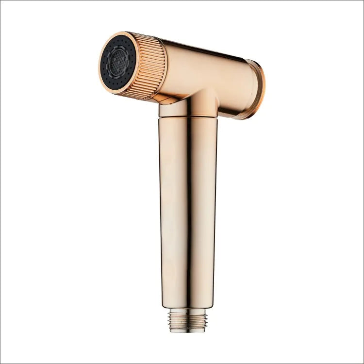 Gold ABS Modern Wall-Mounted Handheld Bidet Sprayer Set with Easy Installation High Pressure Water Saving Toilet Bidet Shattaf