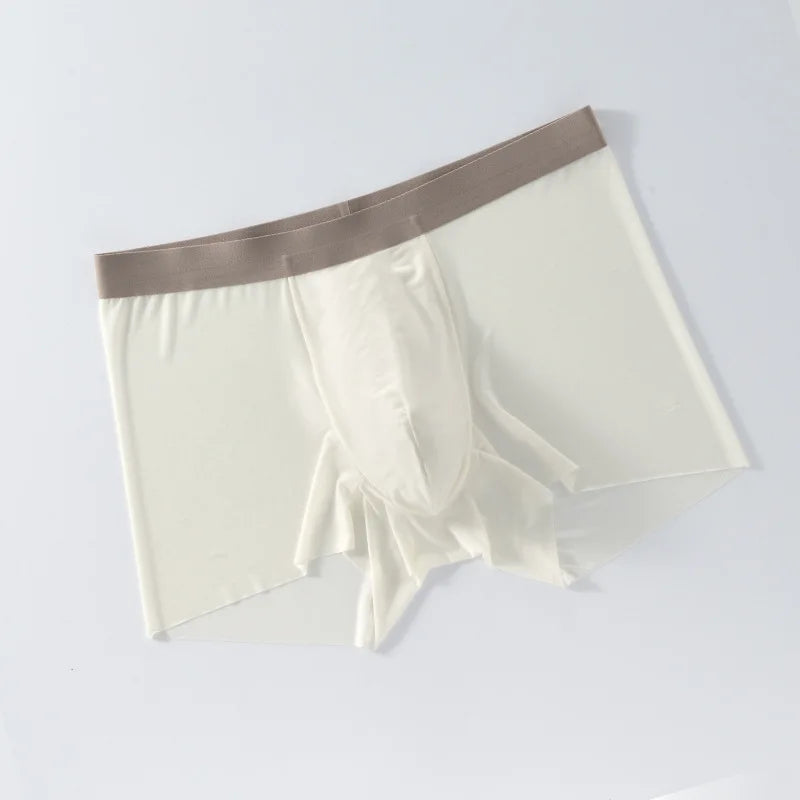 Wholesale Men's Ice Silk Seamless Breathable Boxer Shorts Custom Low-rise  Transparent Sexy Underwear