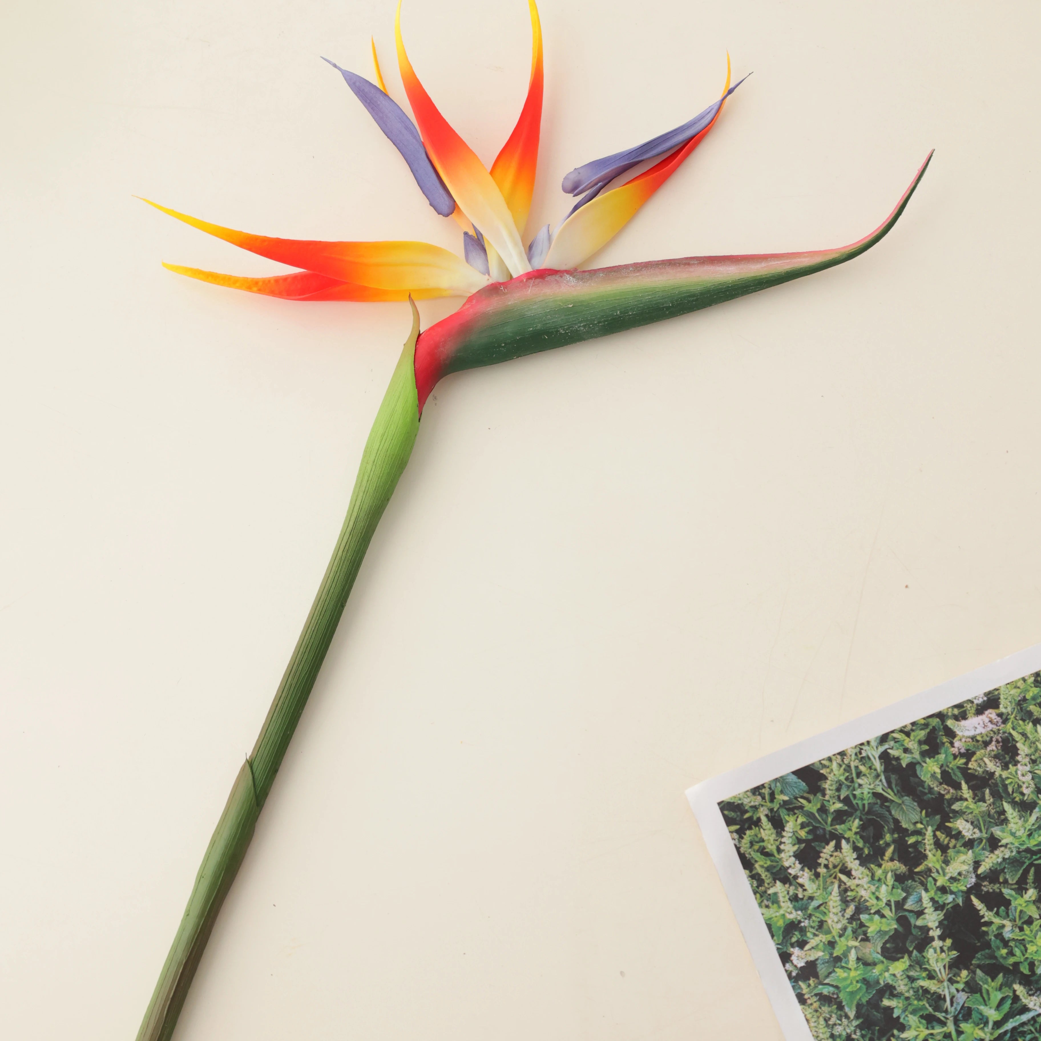 Real Touch 100cm Big Paradise Bird Flower Plant High Quality Manufacturer Wholesale  Artificial Flower Wedding Centerpiece Decor