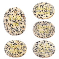 High Quality Natural  Dalmation Jasper Crystal Worry Oval Stones for Crafts Reiki Rocks Gemstone for Therapy