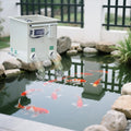 QihangRAS Aquaculture Fish Pond Micro Filter Automatic Backwash Drum Filter Aquarium Koi Fish tank Rotary Drum Filter for Water