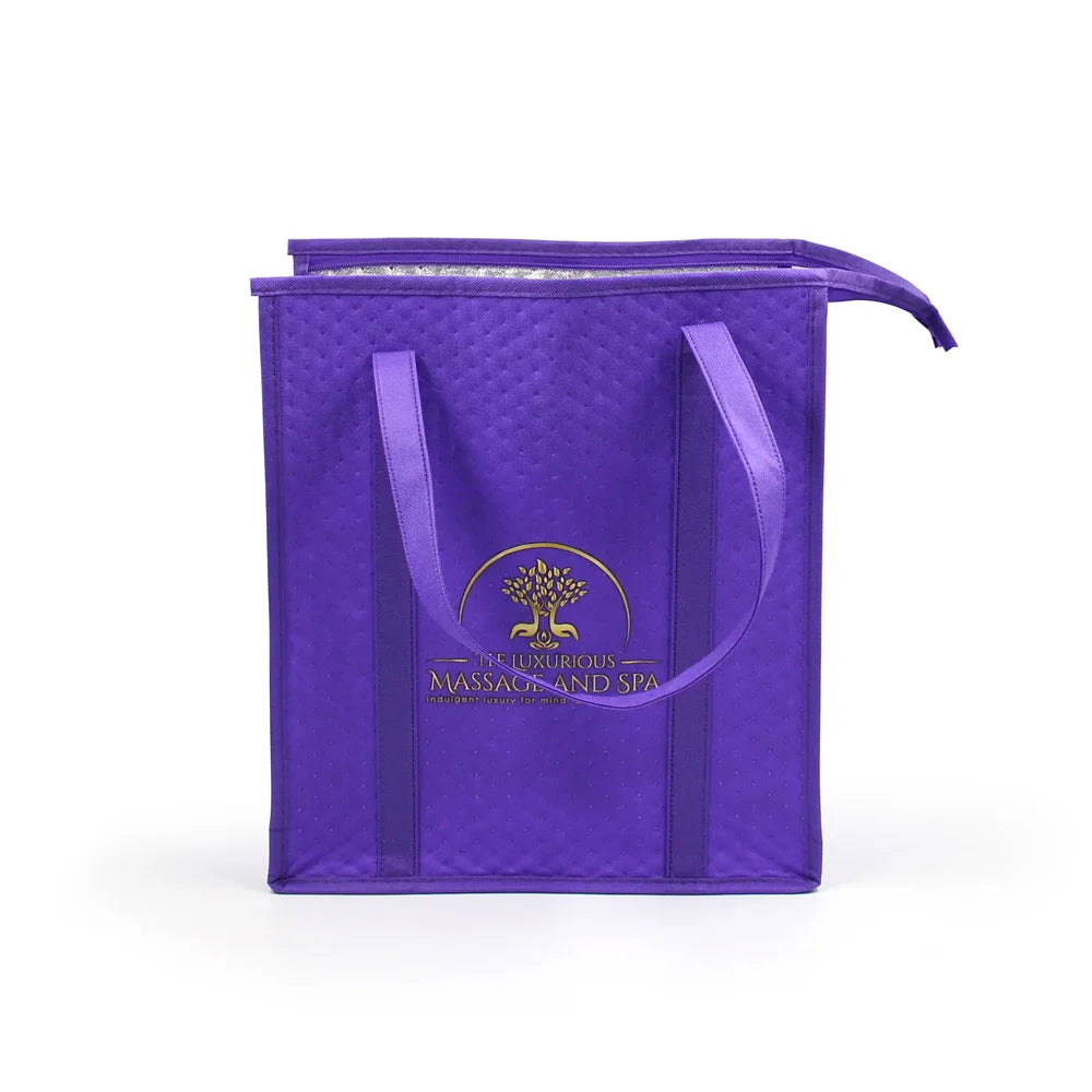 Wholesale Custom Logo Reusable Thermal Insulation Bag Non-Woven Insulated Lunch Cooler for Food with Solar Panel Feature