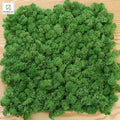 Decorative Simulation Moss Panel Colorful Artificial Moss Panels Natural Green White