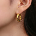 Dreamshow Twisted Fashion Earrings Stainless Steel Thick Hoop Earring for Women 2022