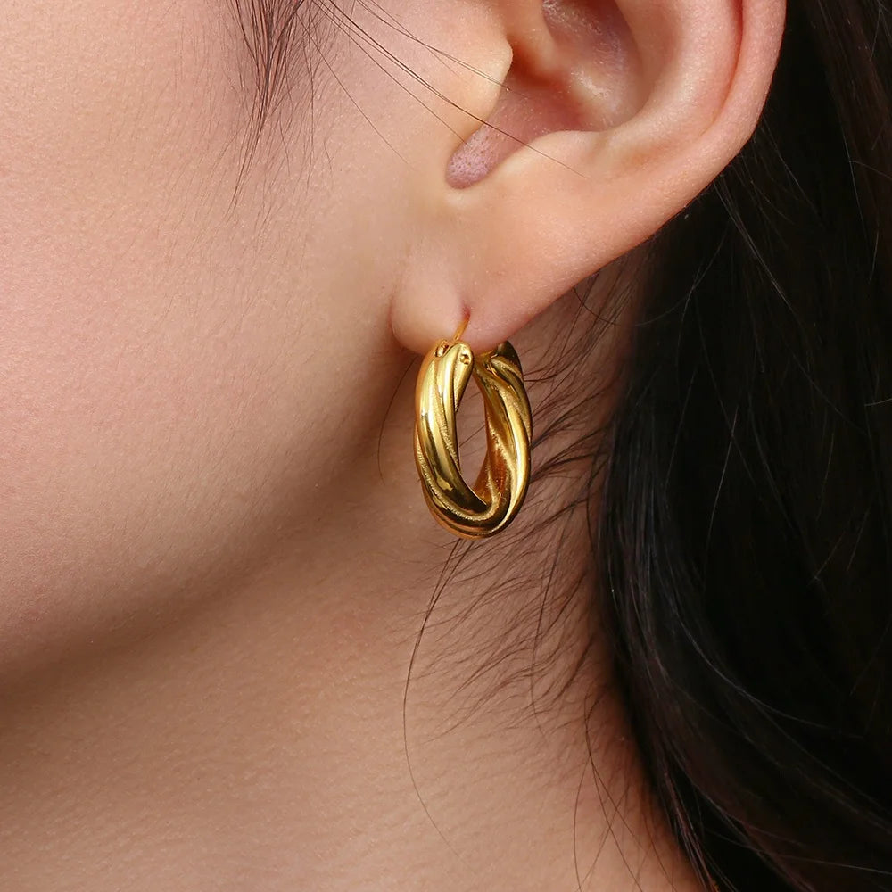 Dreamshow Twisted Fashion Earrings Stainless Steel Thick Hoop Earring for Women 2022