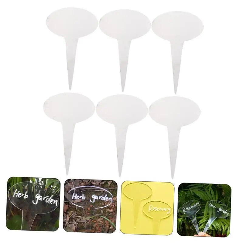 Funny Plant Markers Acrylic Plant Labels Nursery Markers Flower Pots Seedling Sign Mark Flower Identifying Succulent Labels Tags