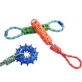 Popular TPR Molar Dog Chew Toy Eco-Friendly Cute Interactive Tug-of-War Bite-Resistant Tooth Cleaning Ring Pet for Golden