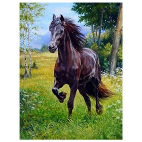 Meian Modern Horse Diamond Painting Mosaic Kit on Canvas for Home Decor