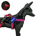2025 Custom Soft Pet Products Dog Harness Stylish LED Buckle Mesh Nylon with Breakaway Feature Printed Pattern Private Label