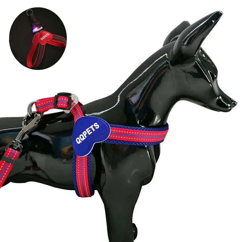 2025 Custom Soft Pet Products Dog Harness Stylish LED Buckle Mesh Nylon with Breakaway Feature Printed Pattern Private Label