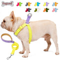 Luxury Dog Harness Leash Set Breathable Vest Reflective Button Dog Collar Leash Personalized Features No Pull Pet Accessories