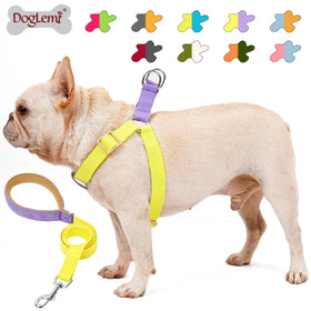 Luxury Dog Harness Leash Set Breathable Vest Reflective Button Dog Collar Leash Personalized Features No Pull Pet Accessories