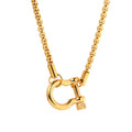 Dainty New High Quality 18K Gold Plated Stainless Steel Chunky Horseshoe Necklace Link Chain for Party Fashion Jewelry for Women