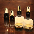 Wholesale Cosmetic Packaging Set with Glass Essential Oil Dropper Bottle Screw Cap for Skin Care and Skincare Serum